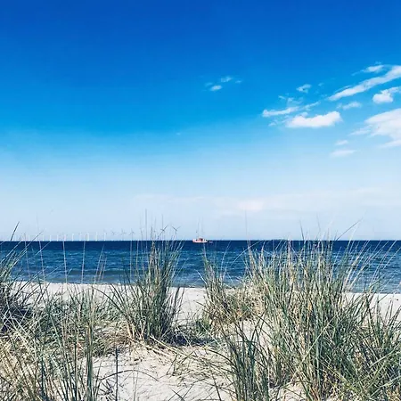 Cph / 60m2 * København